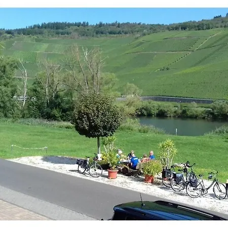 Appealing In Lösnich