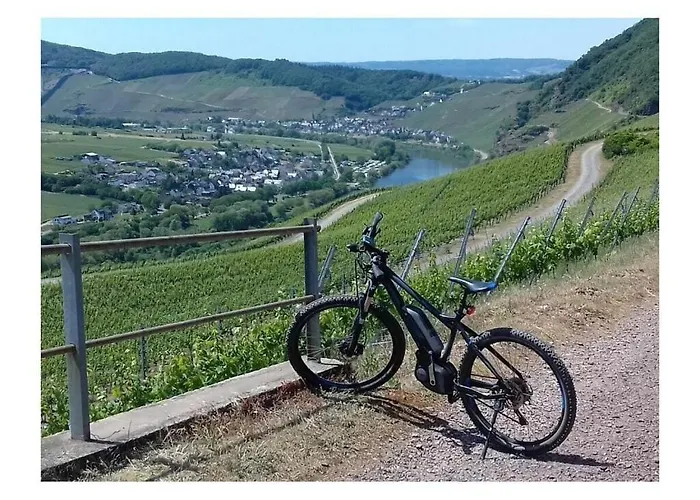 Appealing In Lösnich