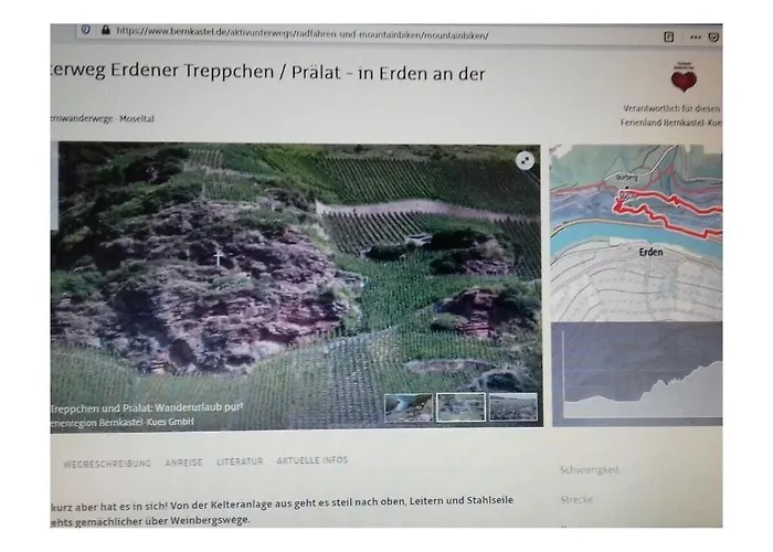 Appealing In Lösnich