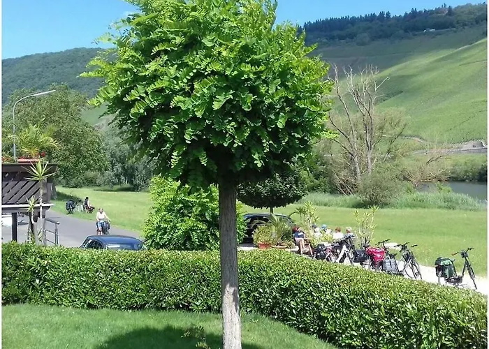 Appealing In Lösnich